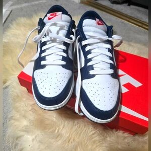 Nike Dunk Low Shoes